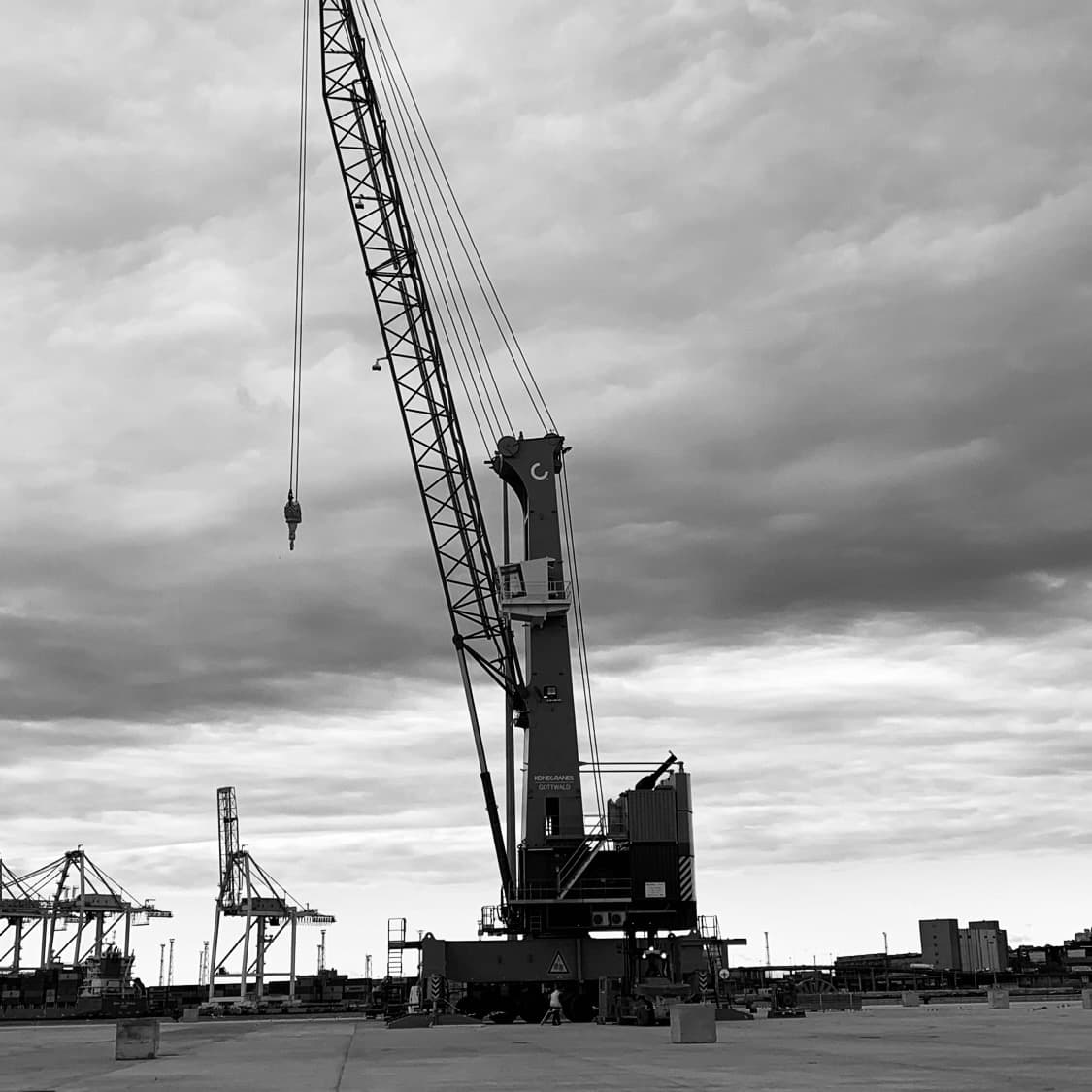 Mobile Harbor Cranes